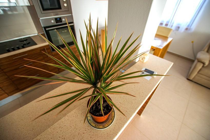 Apartment Andjela Стариград-Пакленица Екстериор снимка